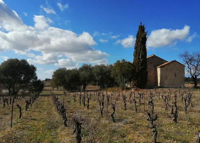 別荘 La Maison Des Remparts Moussan